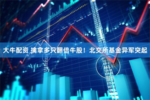 大牛配资 擒拿多只翻倍牛股！北交所基金异军突起
