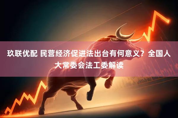 玖联优配 民营经济促进法出台有何意义？全国人大常委会法工委解读