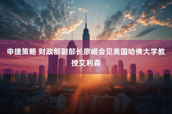 申捷策略 财政部副部长廖岷会见美国哈佛大学教授艾利森
