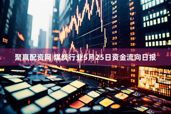 聚赢配资网 煤炭行业5月25日资金流向日报